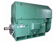 YRKK4001-6/185KWY系列6KV高压电机
